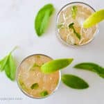 Tamarind Mojito - Alica's Pepperpot