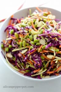 Asian Slaw - alica's pepperpot