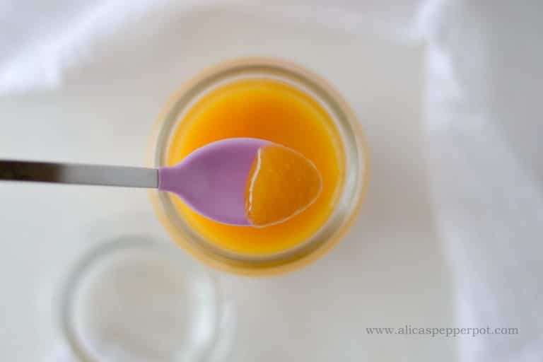 How to Make and Store Homemade Baby food Alica's Pepperpot