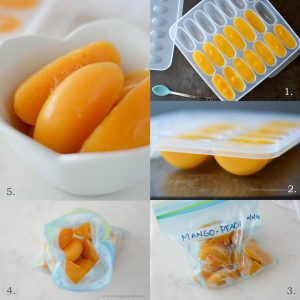 Mango + Peach Puree - Alica's Pepperpot