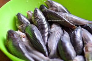 Hassar (armor catfish) curry - Alica's Pepperpot