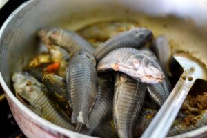 Hassar (armor catfish) curry - Alica's Pepperpot