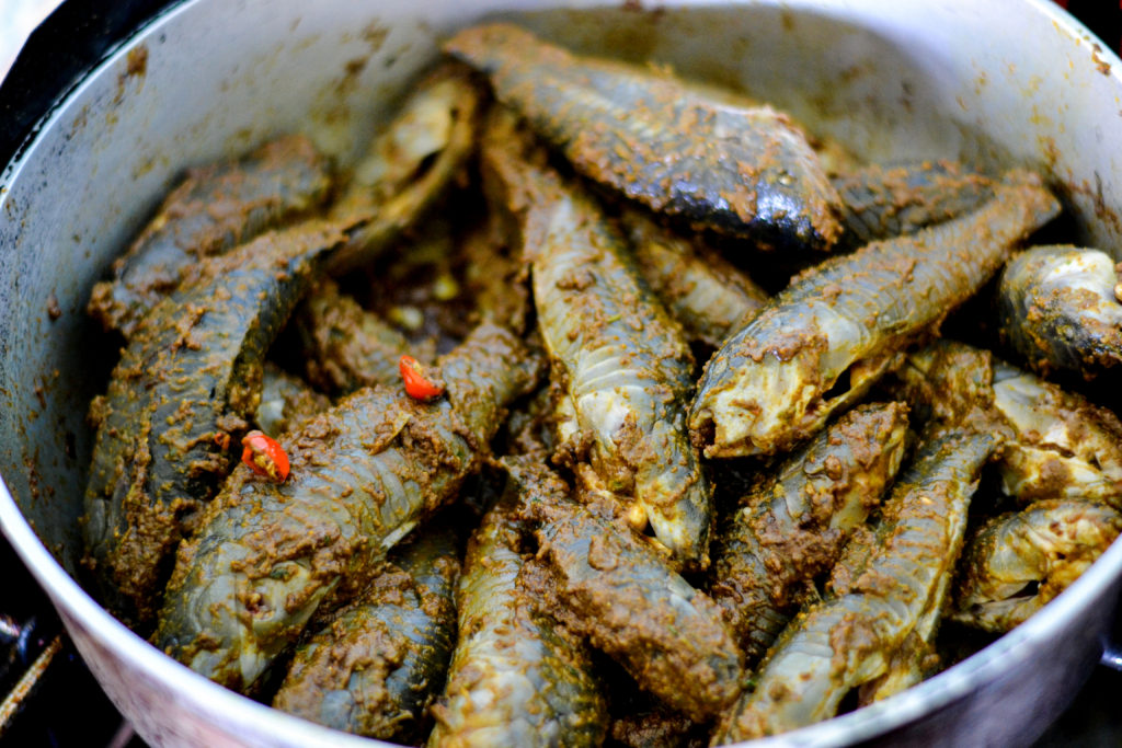 Hassar (armor catfish) curry - Alica's Pepperpot