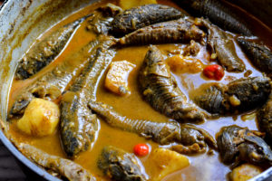 Hassar (armor catfish) curry - Alica's Pepperpot