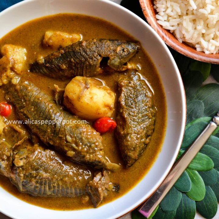 Hassar curry (armor catfish) - Alica's Pepperpot