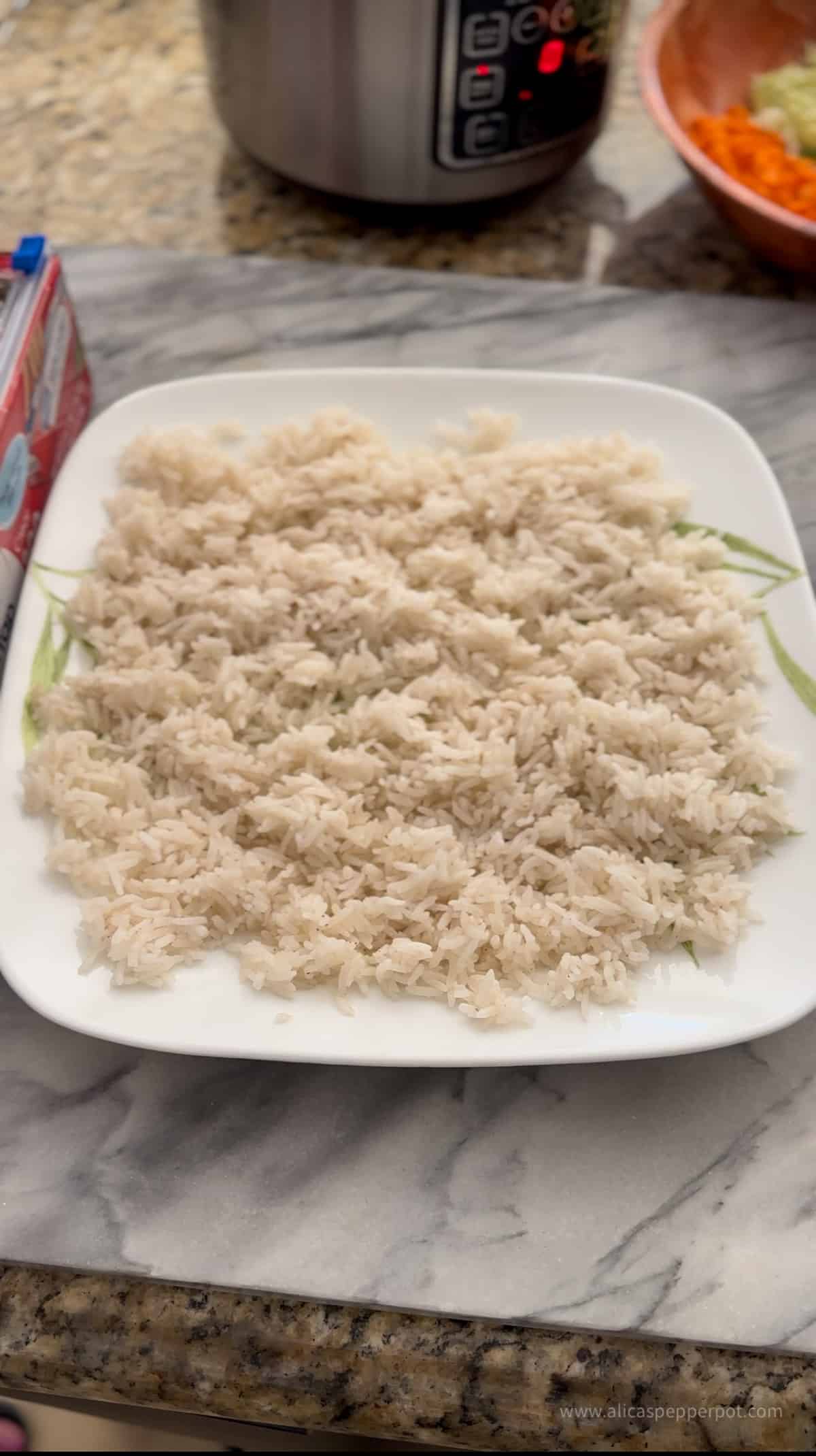 small-batch-fried-rice-white-rice » Alica's Pepperpot